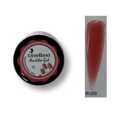 بیلدرژل 15 میل کد 09 رنگ آلبالویی